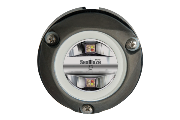 Lumitec Zambezi Mini Underwater Light – Spectrum RGBW PLI – 101833